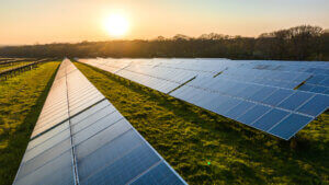 Rows of solar panels on grassy field at sunset, with clear sky and trees along horizon